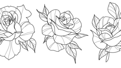 Simple:7rscsxgmzya= Rose Drawing Outline