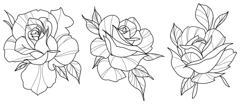 Simple:7rscsxgmzya= Rose Drawing Outline