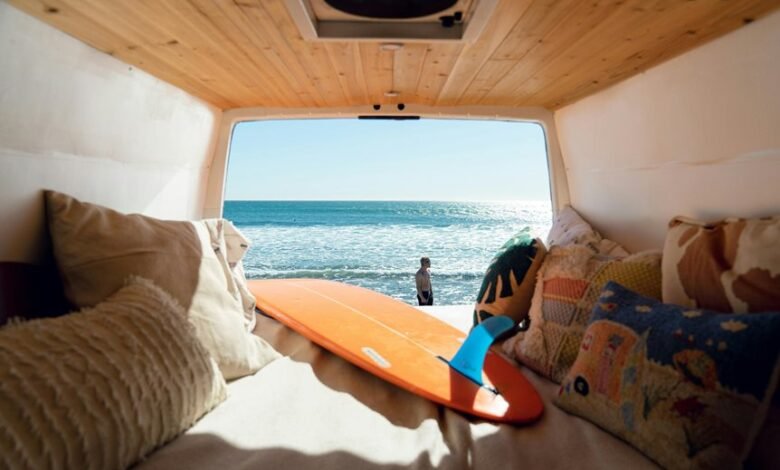 baja alli life adventure